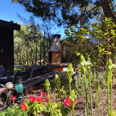 펜션 Eco House, 5 Min From The Beach 코스타 다 카파리카
